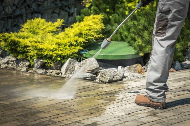 Best Building Exterior Pressure Washing in Laureles, TX