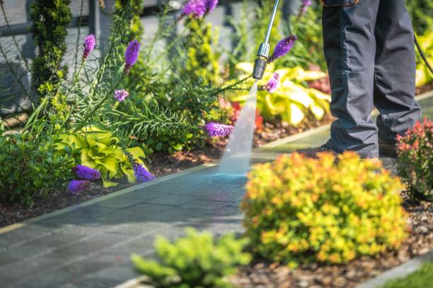 Best Commercial Pressure Washing in Laureles, TX